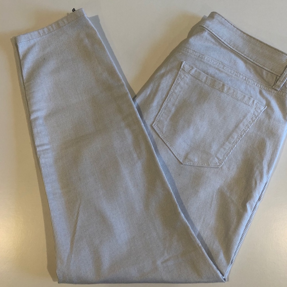🏖 LOFT Curvy 5-pocket Ankle Pants Sz 10/30